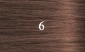 6-standard.png