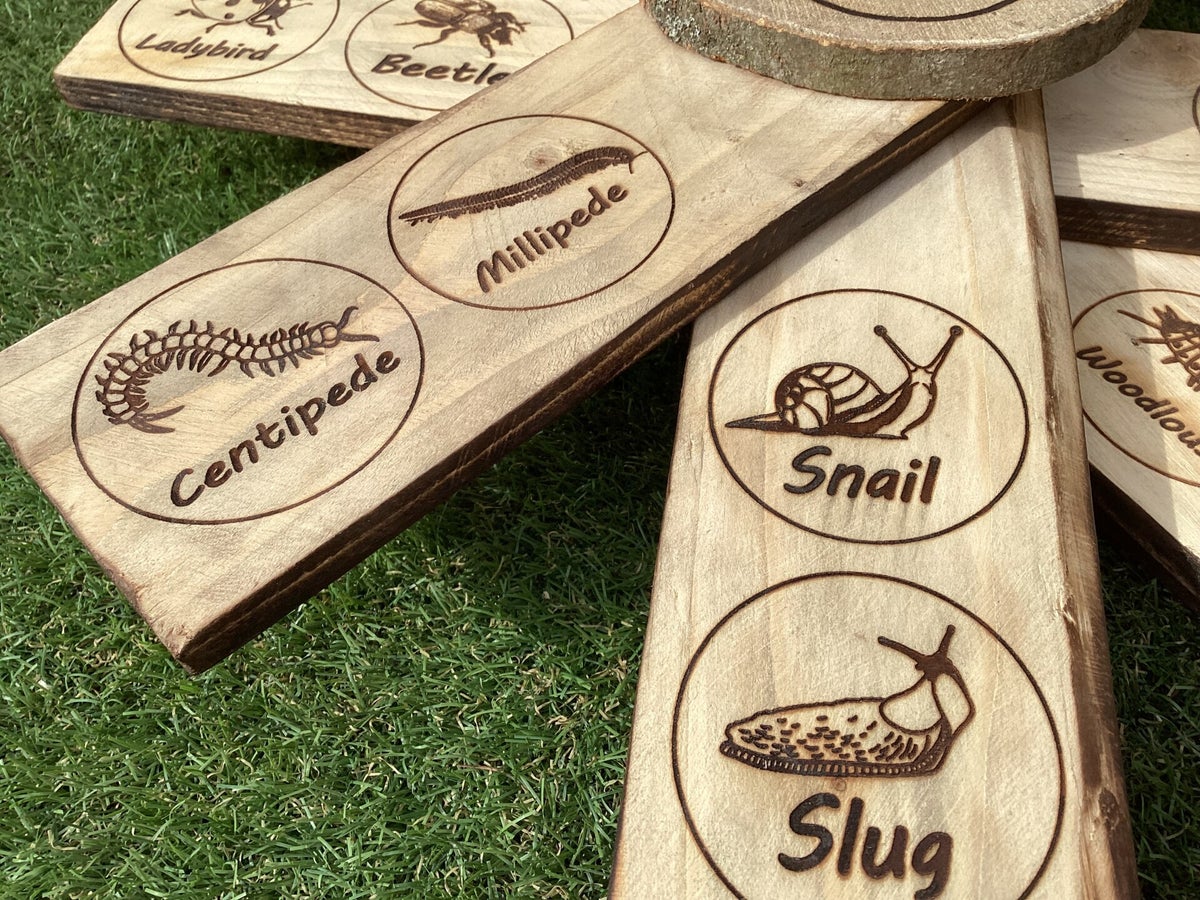 Minibeast Identity Sign, 100cm tall, 50cm wide | Forest School Signs
