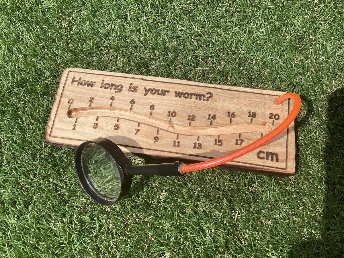 Worm Ruler, 25cm long | Forest School Signs