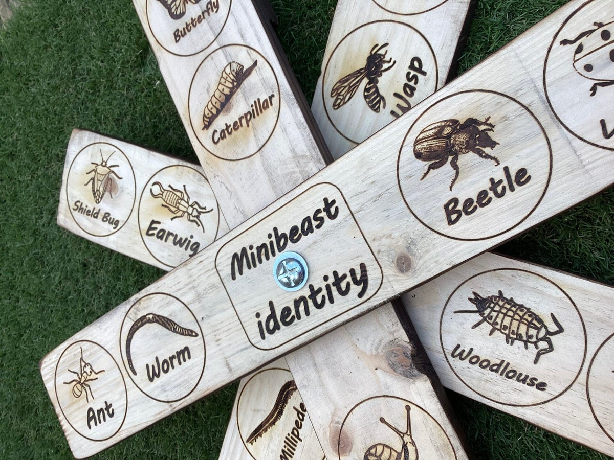 Minibeast Identity Sign, 100cm tall, 50cm wide | Forest School Signs