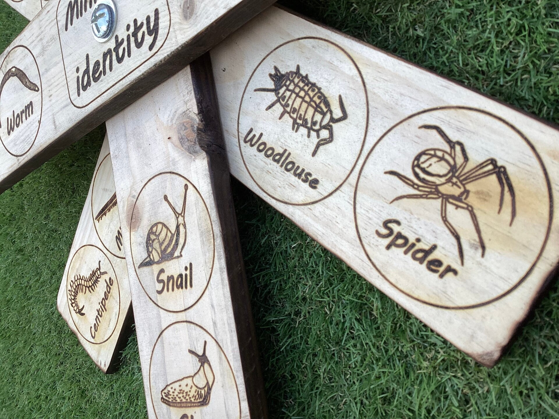 Minibeast Identity Sign, 100cm tall, 50cm wide | Forest School Signs
