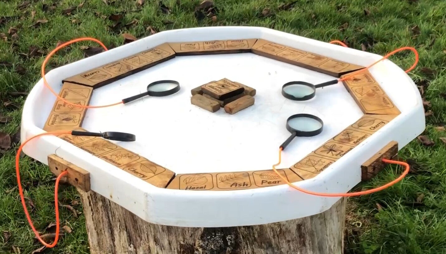 Tuff Tray for identifying Leaf and Minibeasts