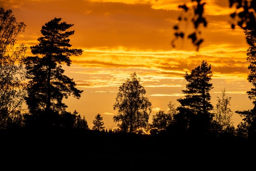 Solnedgang