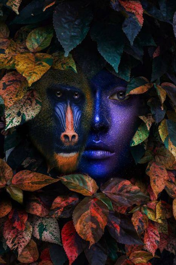 Glasschilderij 80x120 GLAS080120-445