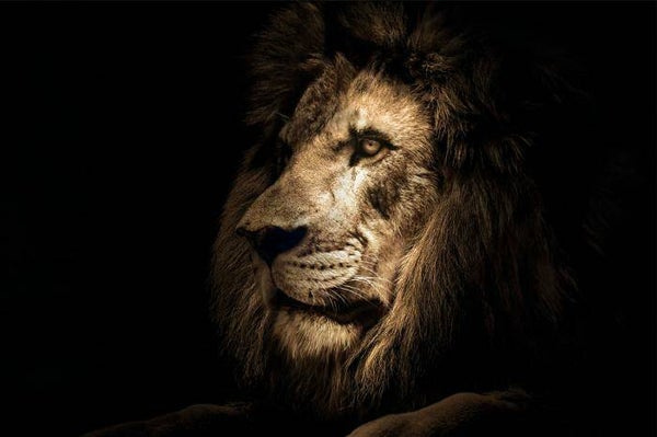 Glasschilderij 120x80 GLAS080120-457