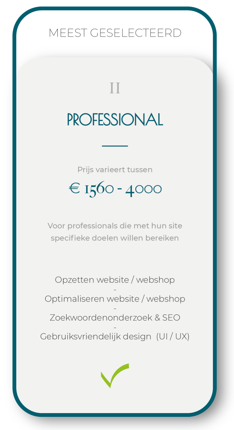 Pakket 2: 'Professional'. Voor professionals die met hun site specifieke doelen willen bereiken. Website, webshop opzetten of optimaliseren