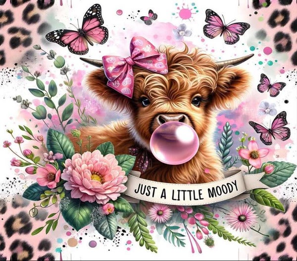HighlandCow 9