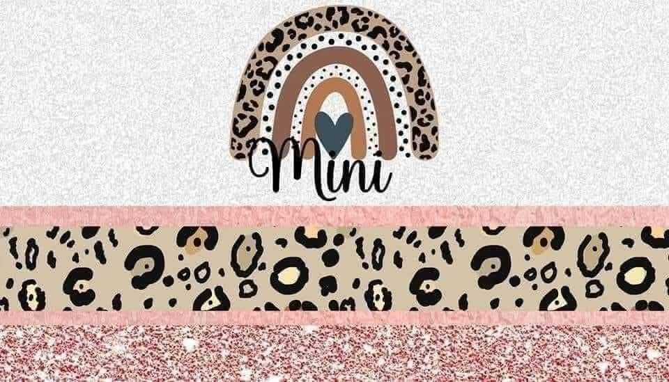 Mini 3