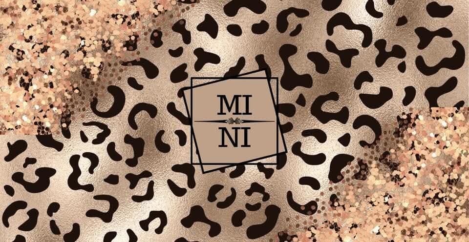 Mini 2