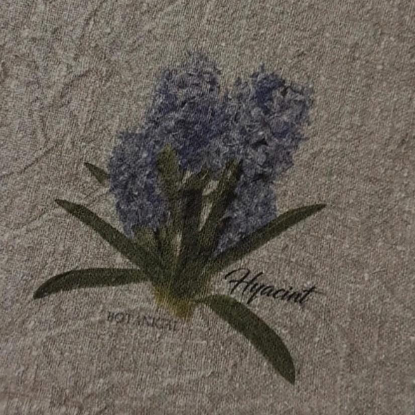 Shabby Hyacint kleur