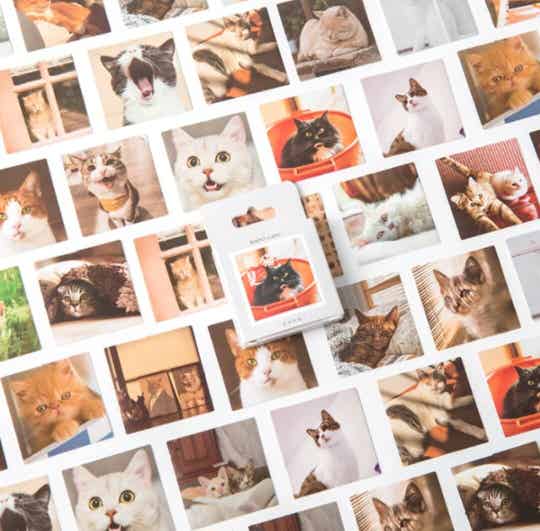 45 katten stickers