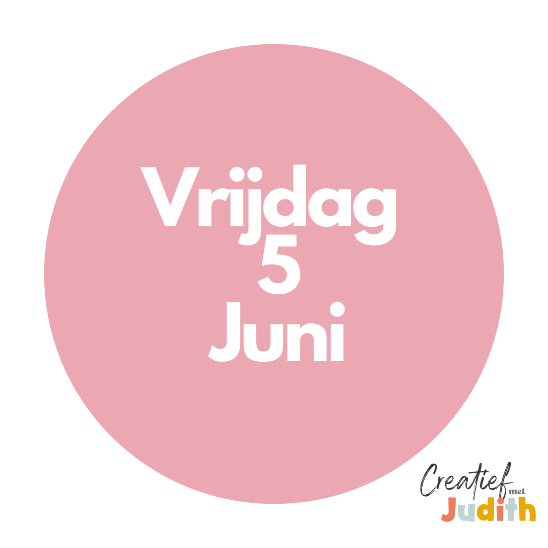 Journal workshop Maastricht vrijdag 5 juni 2026