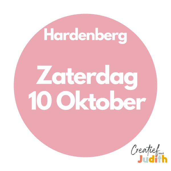 Journal workshop Hardenberg zaterdag 10 oktober 2026
