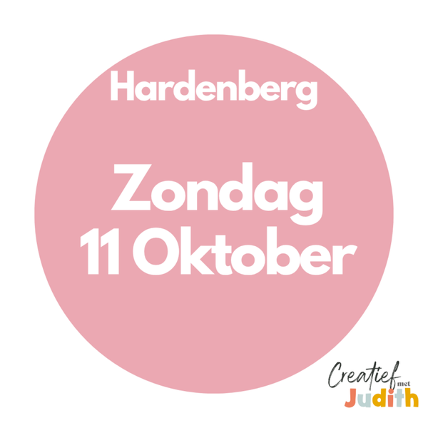 Journal workshop Hardenberg zondag 11 oktober 2026