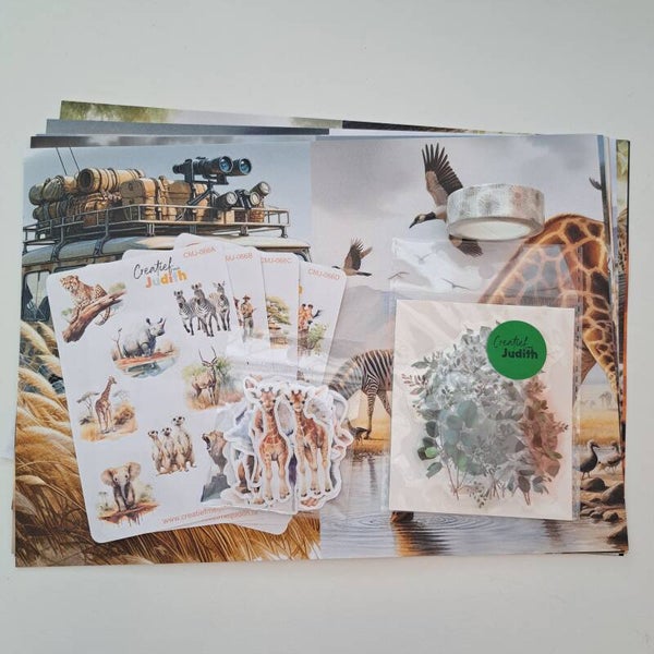 Safari Journal set
