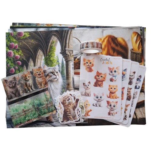 Katten Journal set