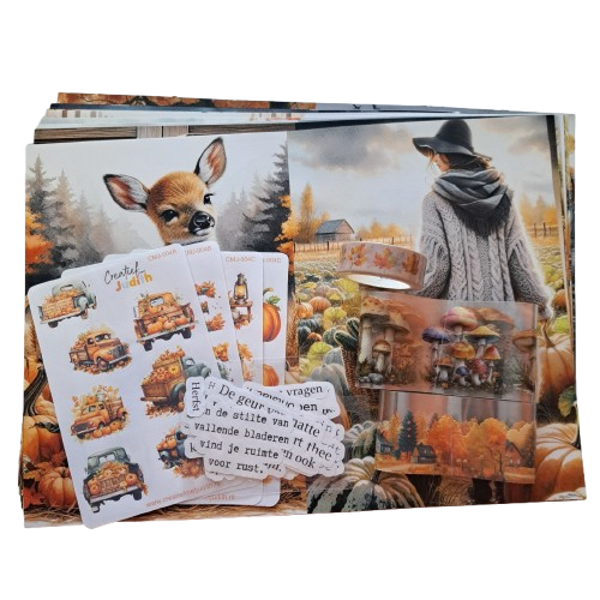 Pumpkin patch Journal set