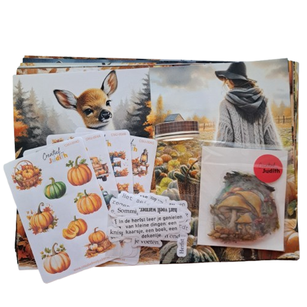 Pumpkin patch Journal set