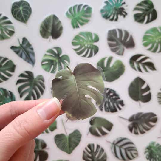 Flower Series Natural Daisy Clover Stickers Transparent Flowers Leaves Plants De Flower Series Natural Daisy Clover Stickers Transparent Flowers Leaves Plants De