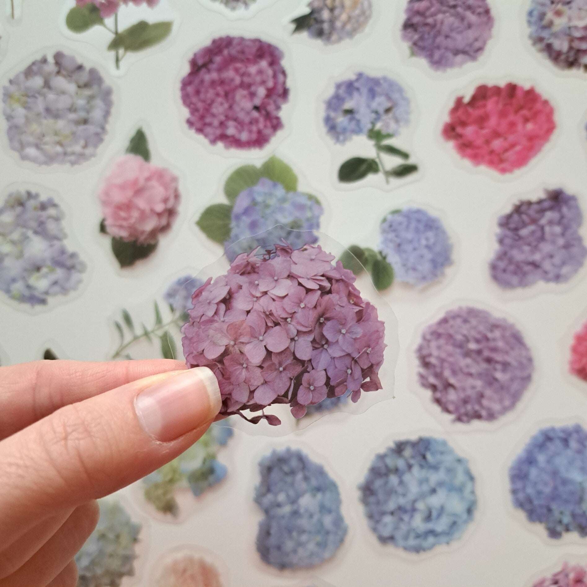 Transparante stickers Hortensia 40st