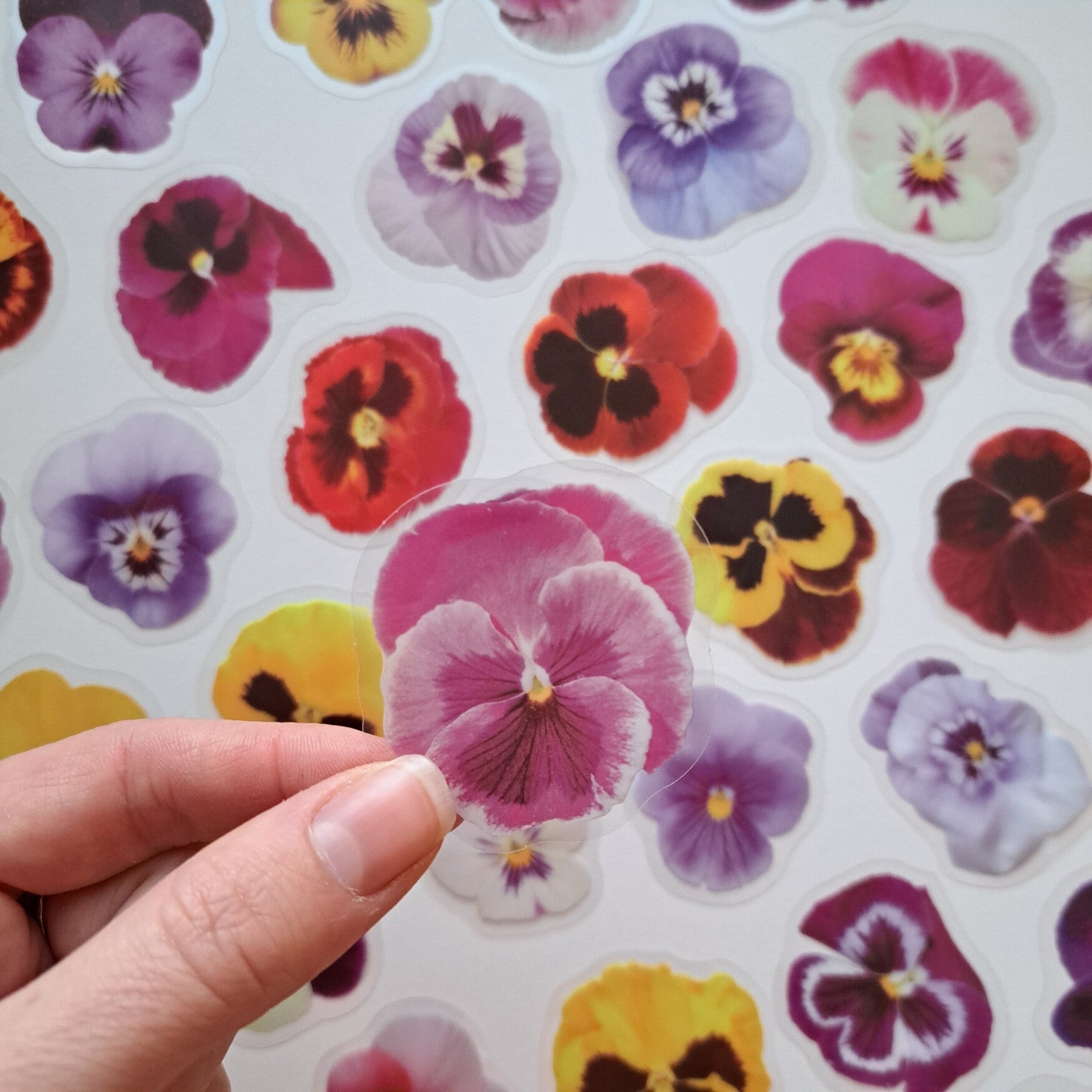 Transparante stickers Viooltjes 40st