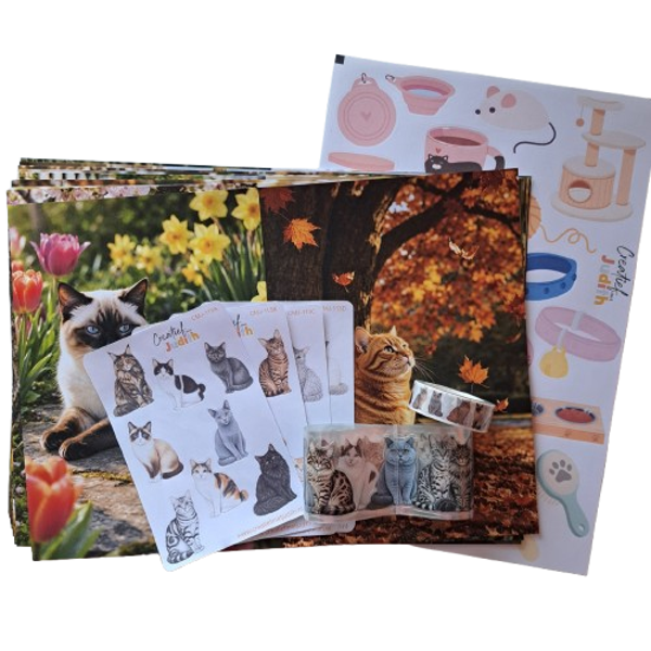 Katten Journal set