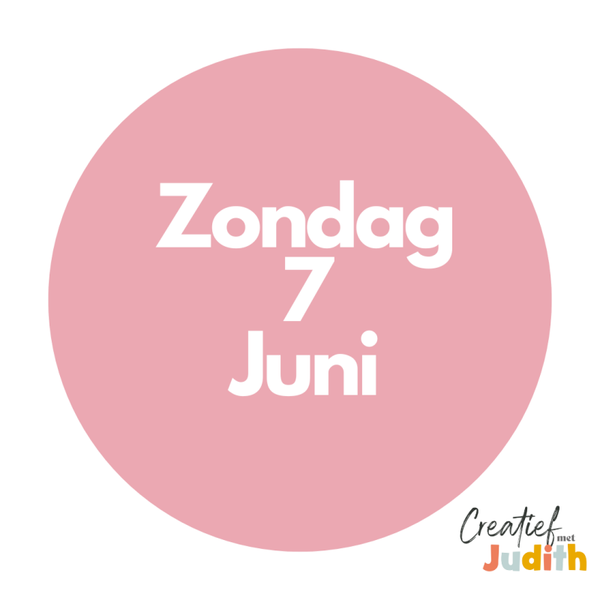 Journal workshop Maastricht zondag 7 juni 2026