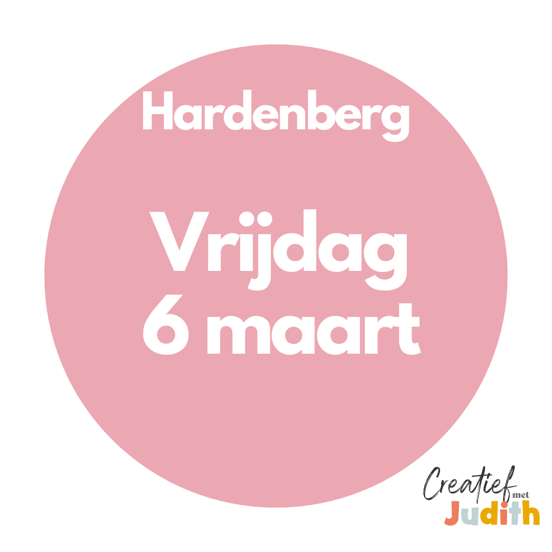 Journal workshop Hardenberg Vrijdag 6 Mrt 2026