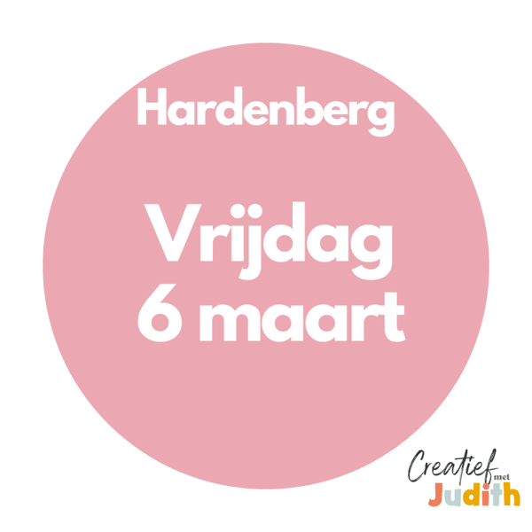 Journal workshop Hardenberg Vrijdag 6 Mrt 2026