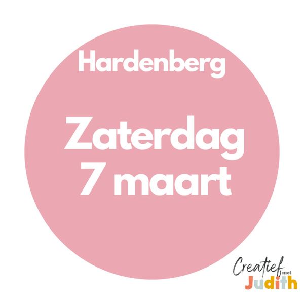 Journal workshop Hardenberg Zaterdag 7 Mrt 2026