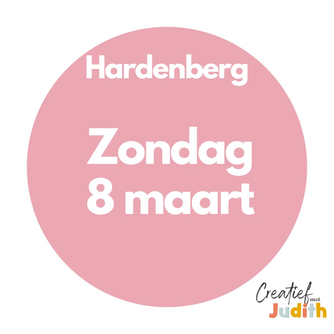 Journal workshop Hardenberg Zondag 8 Mrt 2026