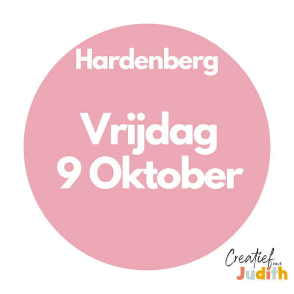 Journal workshop Hardenberg vrijdag 9 oktober 2026