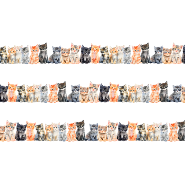Washi tape Kittens op een rij