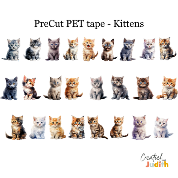 PreCut - Pet Tape Kittens