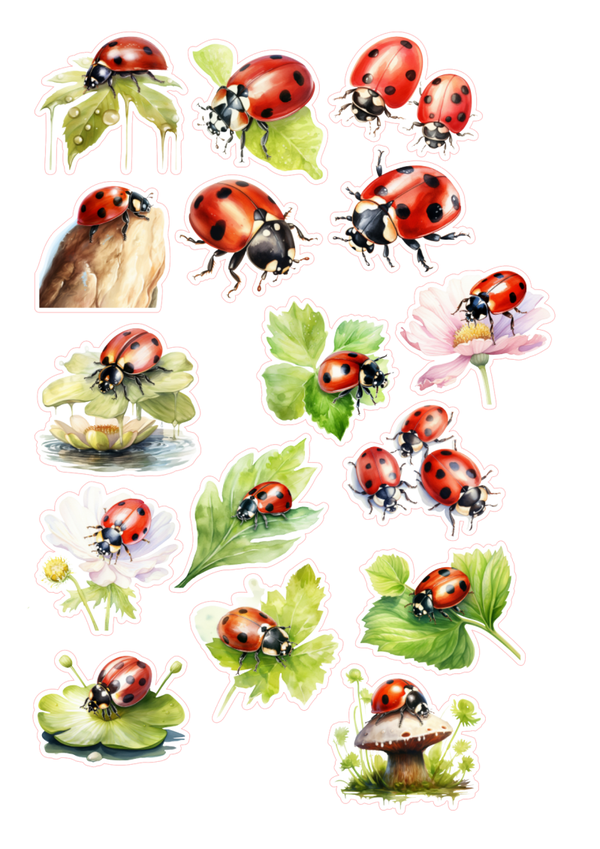 16st Ladybug stickers