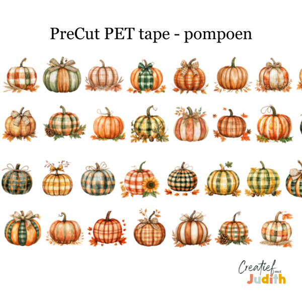PreCut - Pet Tape Pompoen 25mm
