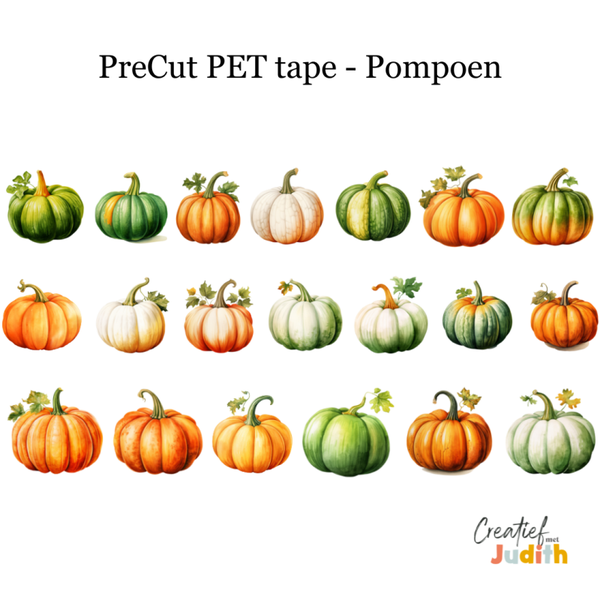 PreCut - Pet Tape Pompoen