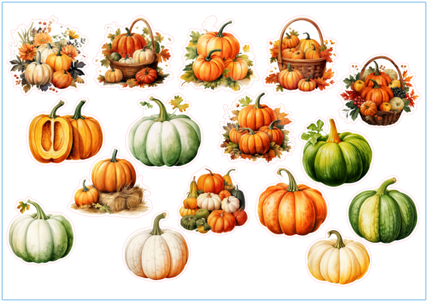 16st Pompoen stickers
