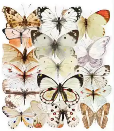 Transparante stickers Vlinder wit 40st