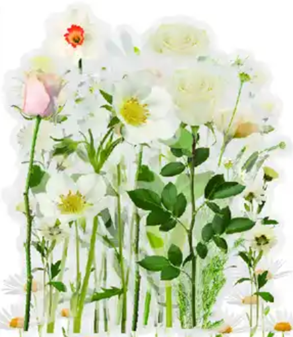 Transparante stickers Bloemen wit 40st