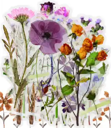 Transparante stickers bloemen 40st