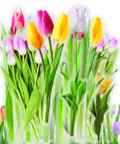 Transparante stickers Tulp 40st