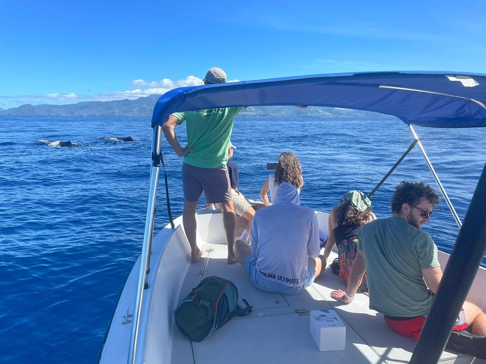 Boat of tourists viewing marine wildlife during a Dominica whale watching tour