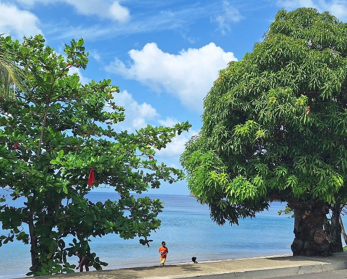 Belle Hall beach in Portsmouth Dominica