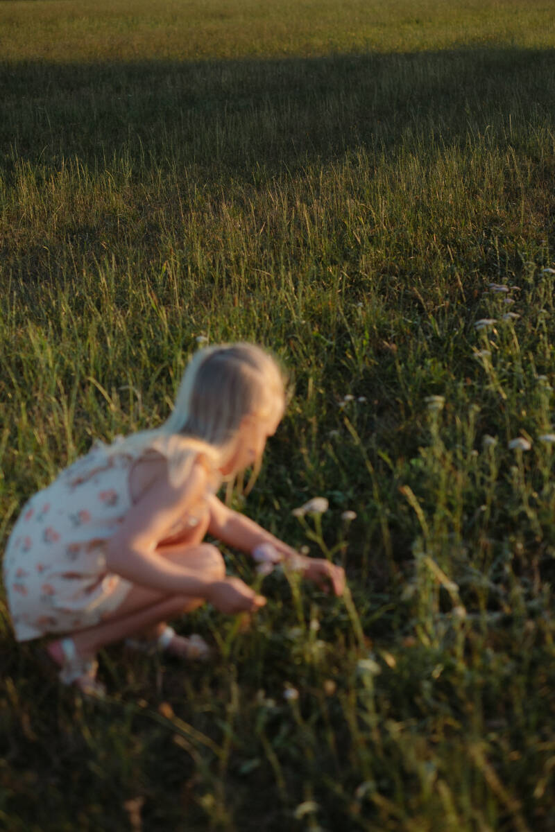 familieshootsunsetwesterlo-9-standard.jpg
