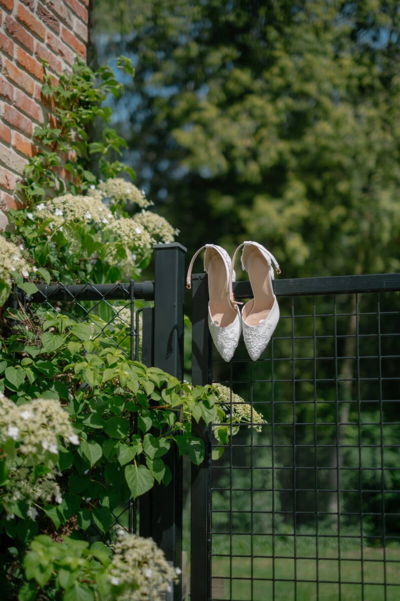 schoenen-5-standard.jpg