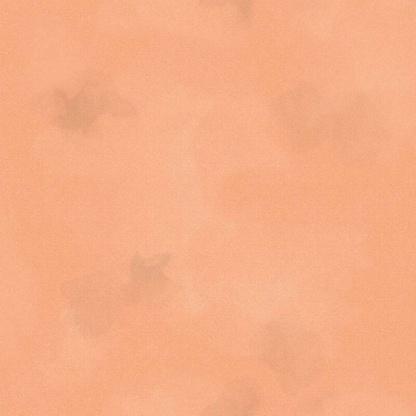 Timeless Treasures - Brushstroke - Apricot