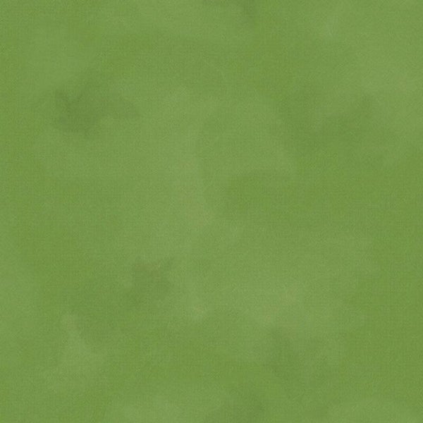 Timeless Treasures - Brushstroke - Moss