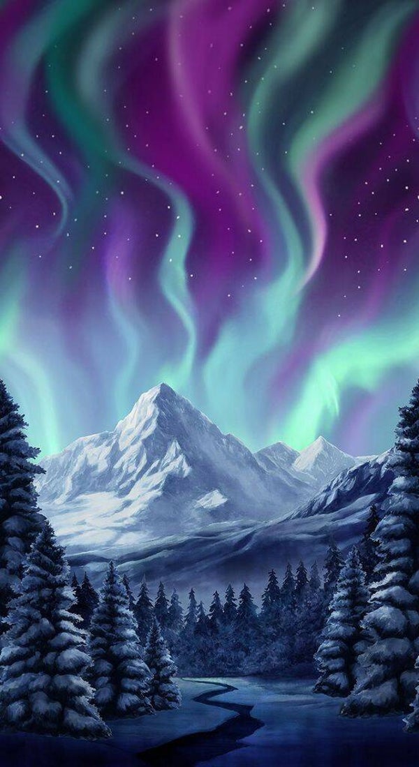 Timeless Treasures Alaska Icelandic Sky