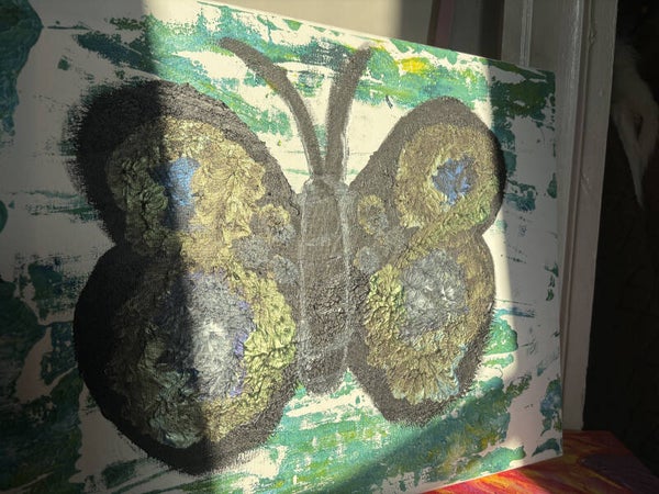 The Butterfly Effect
